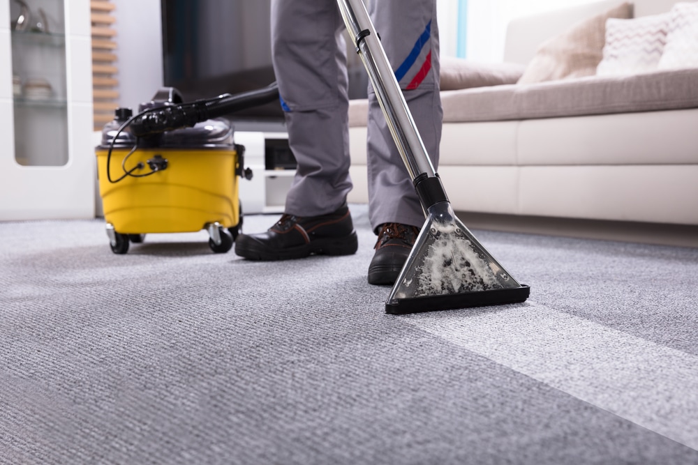 Clean Carpets